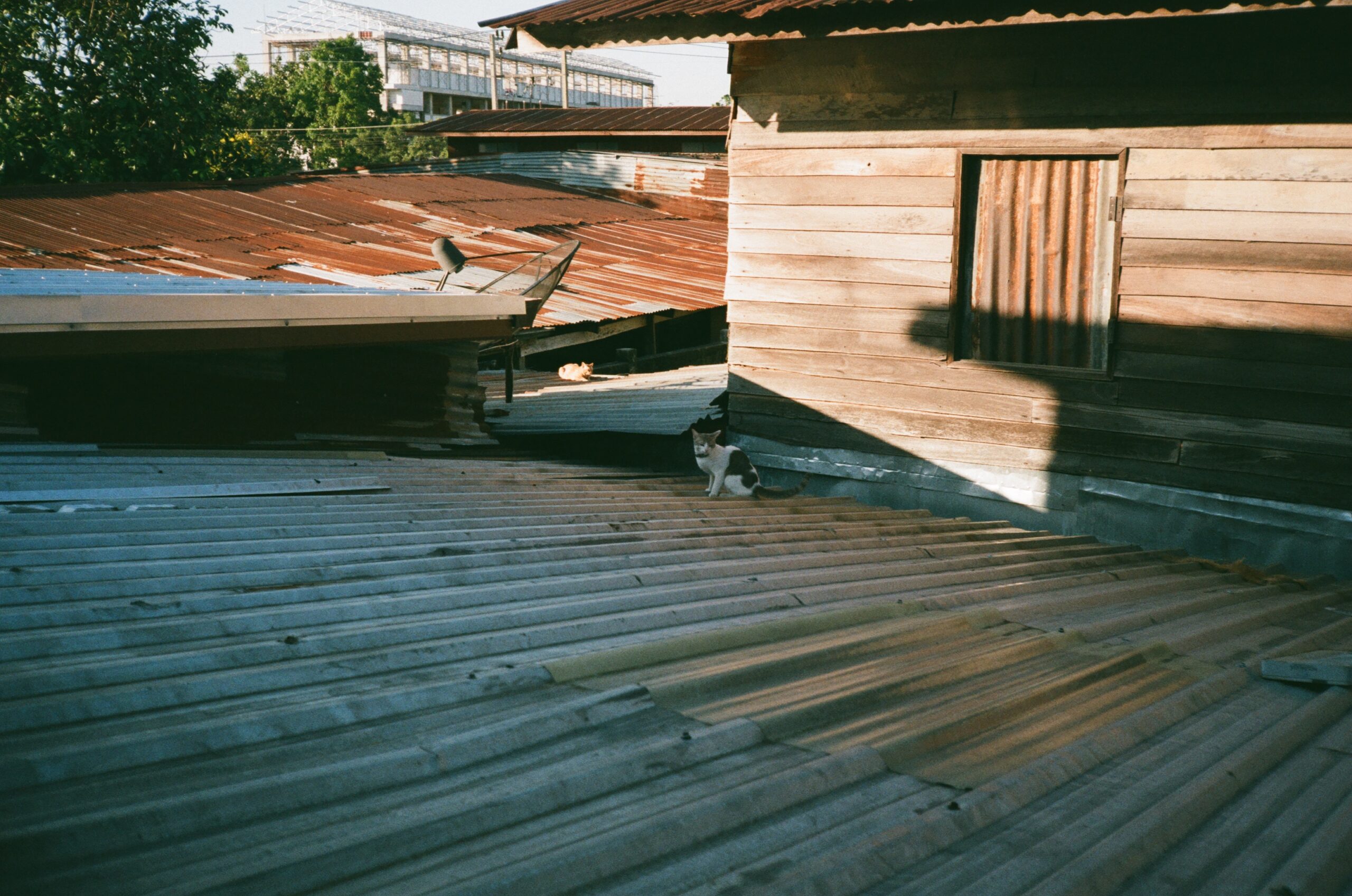 5 Signs It's Time to Replace Your Deck